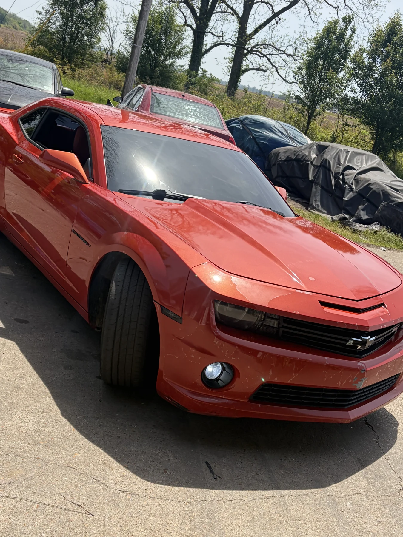 Shine Detail Exclusive tint project in Marion, Arkansas